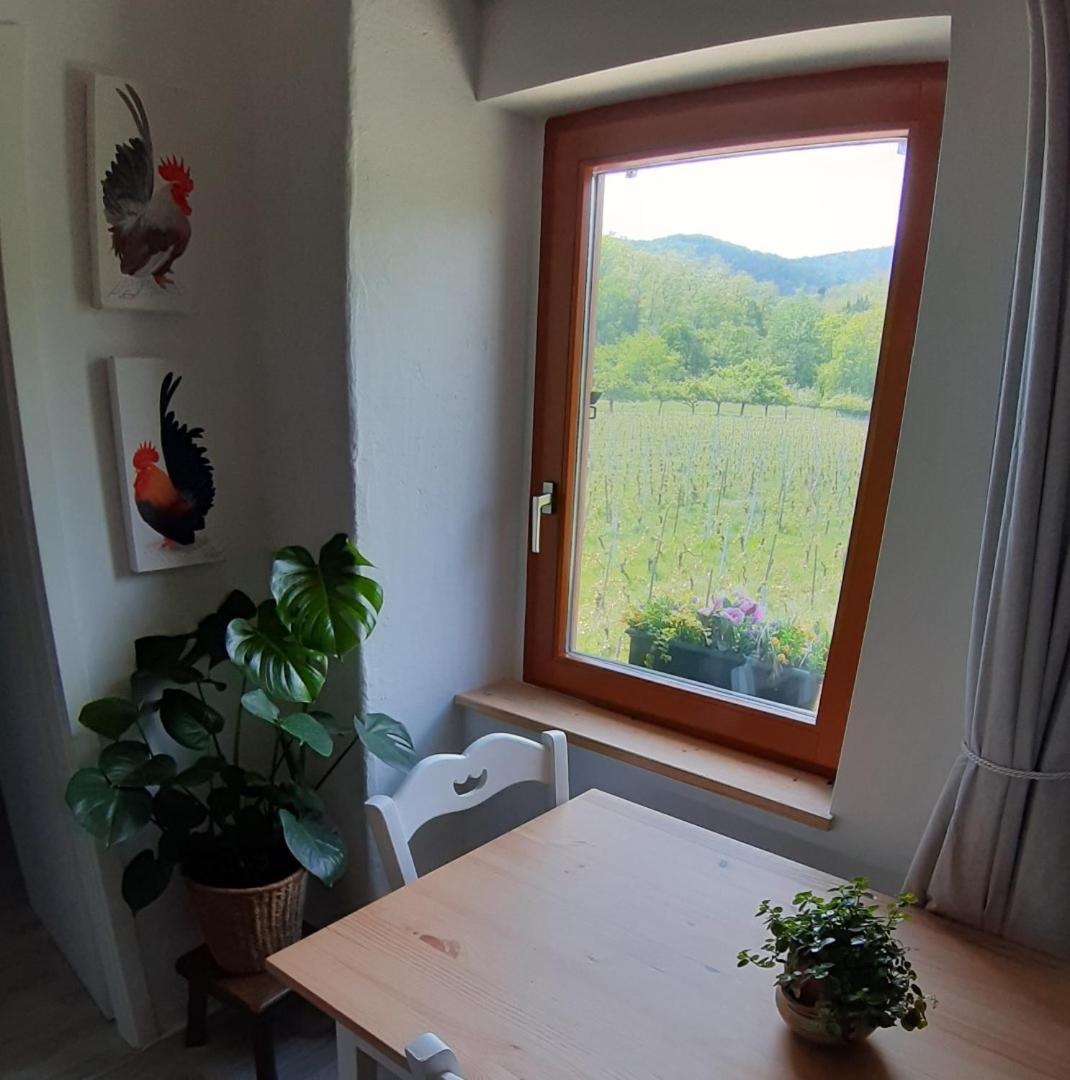 Dandelion Bed & Breakfast Ribeauvillé Exterior foto